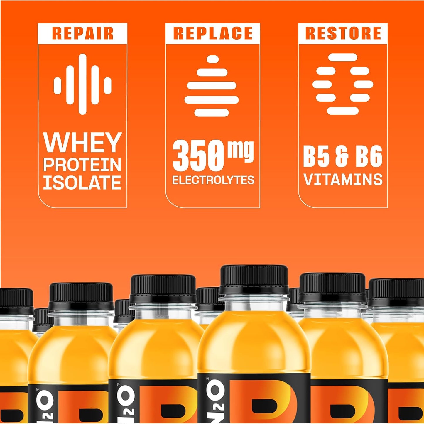 Protein2o Hydration Drink - 2-in-1 Liquid Clear Whey Protein Isolate and Electrolyte Drink - 20g Protein, Vitamins B5, B6 - Post-Workout Recovery - 16.9 Fl Oz - 12 Count Mixed Berry
